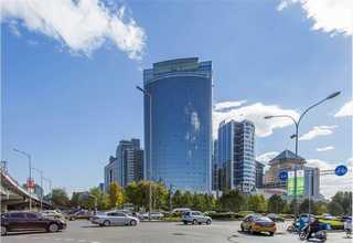 桓台县园林树木养护